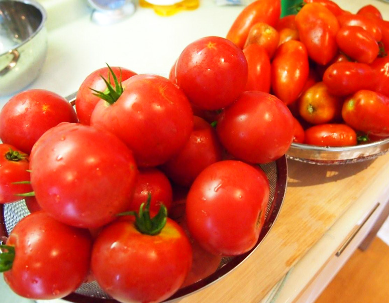 我が家で収穫されたトマト