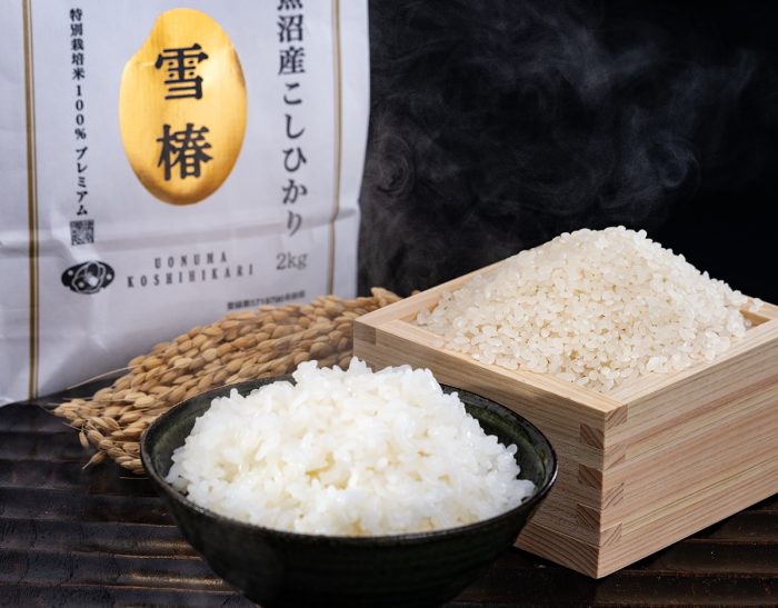魚沼産コシヒカリ 雪椿