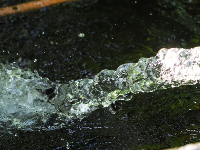レンコンの栽培・収穫・洗浄に使われる豊富な澄んだ地下水