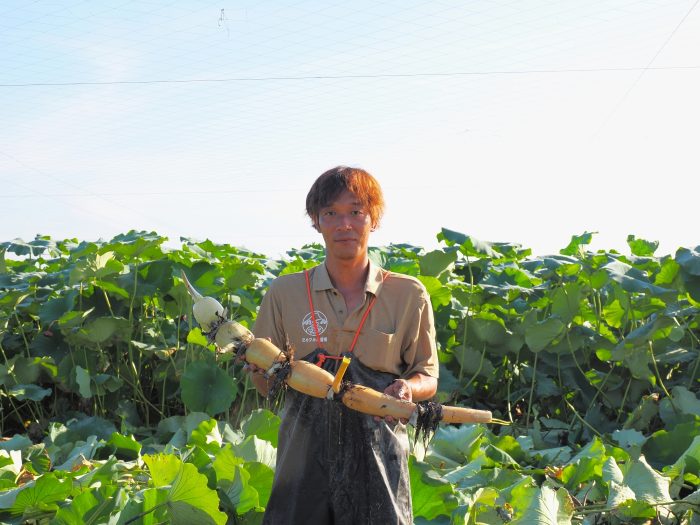 収穫した立派なレンコンを手に持つ生産部の益田さん