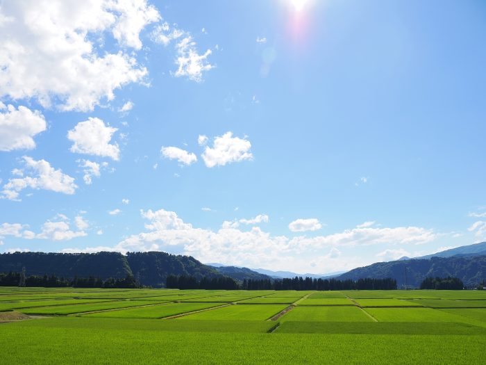 新潟県津南町の河岸段丘に広がる美しい田園風景